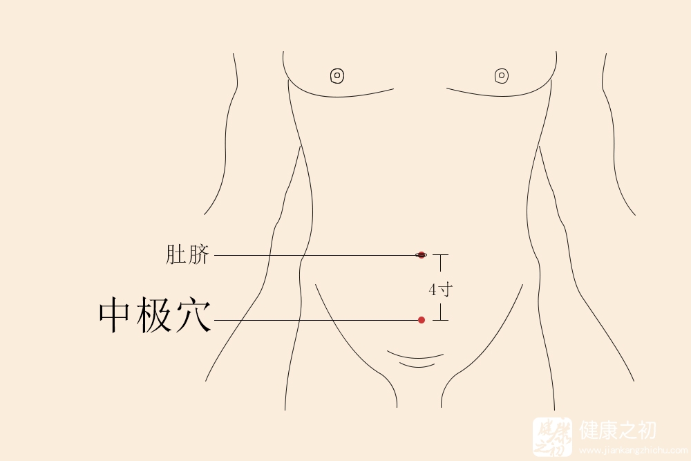 中极穴.jpg