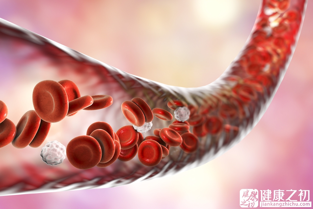 血管  血栓  红细胞.jpg