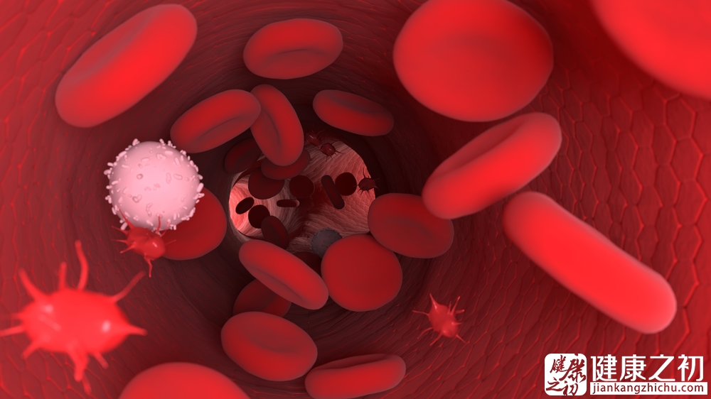 红细胞 病毒.jpg