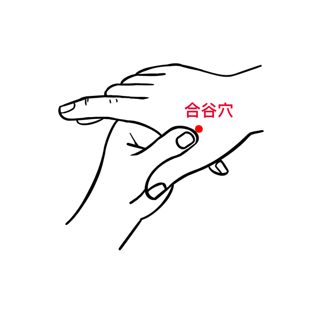 图片33.png